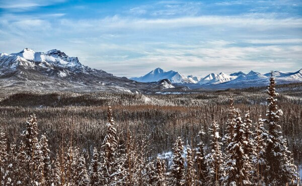 Denali Skyline pt. 2