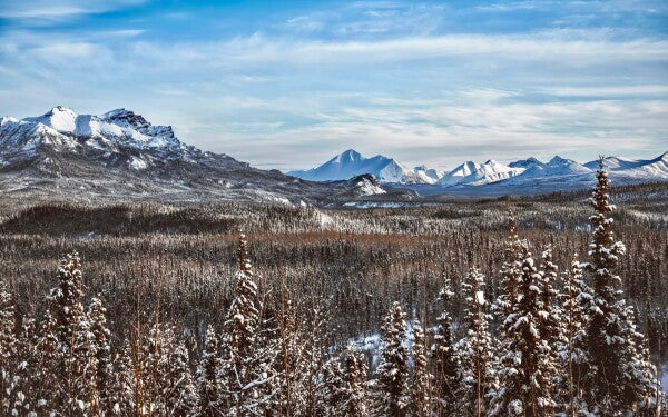 Denali Skyline pt. 2