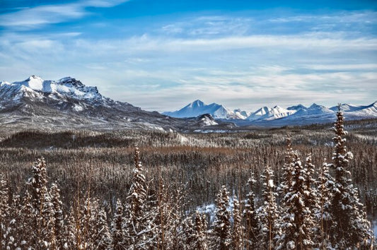 Denali Skyline pt. 2