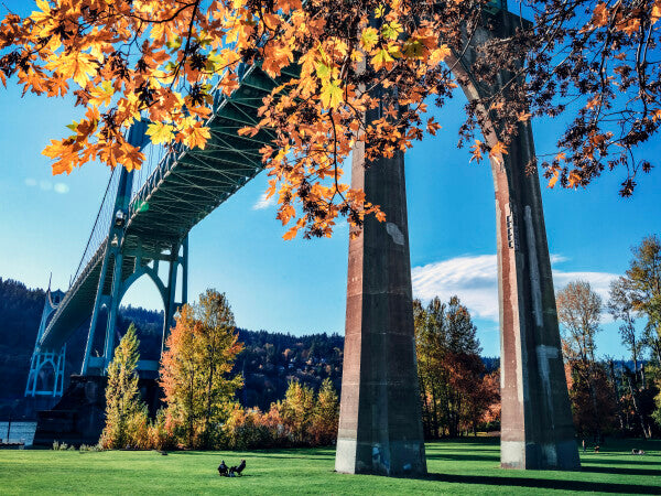 Bridge Fall