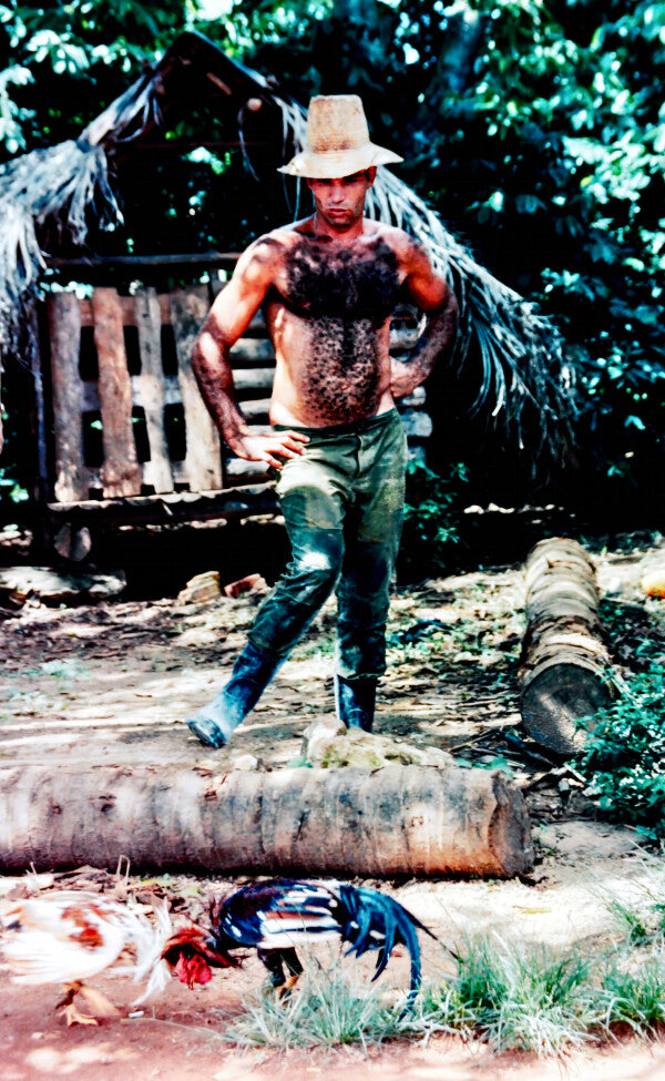 Rooster Ranger (35mm Film)