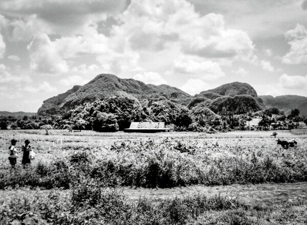 Homestead (35mm Film)