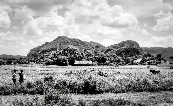 Homestead (35mm Film)