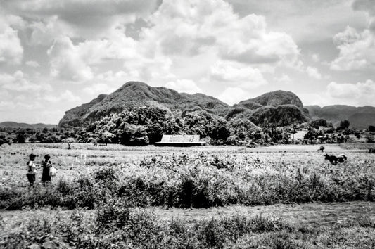 Homestead (35mm Film)