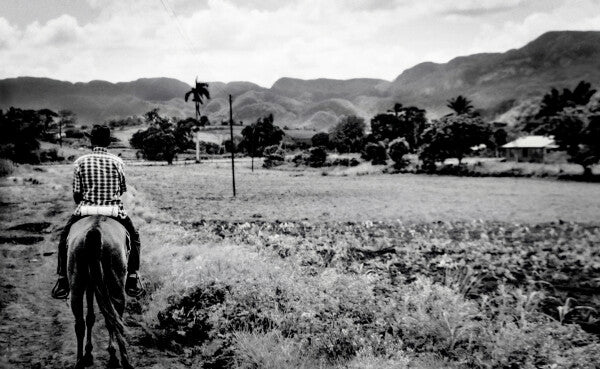 Neighborhood Watch (35mm Film)