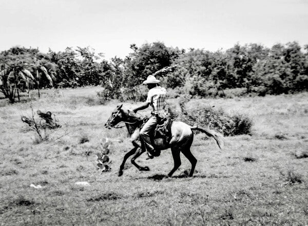 Lone Rider (35mm Film)