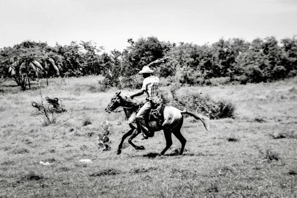 Lone Rider (35mm Film)