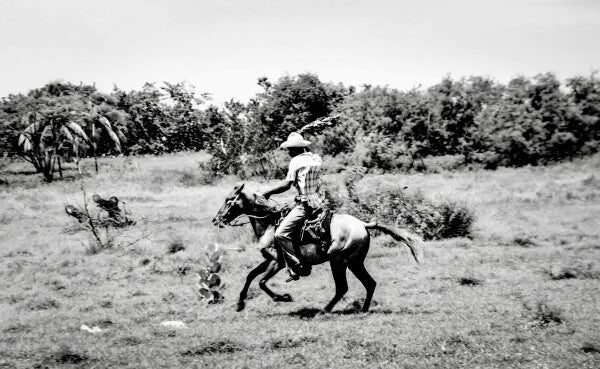 Lone Rider (35mm Film)