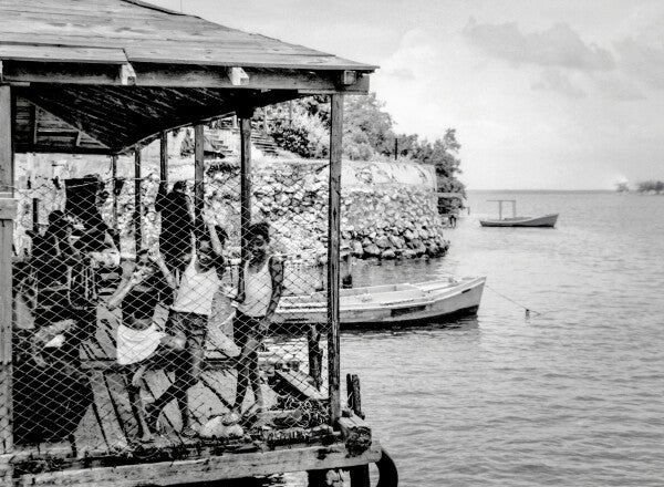 The Watchers on the Water (35mm Film)