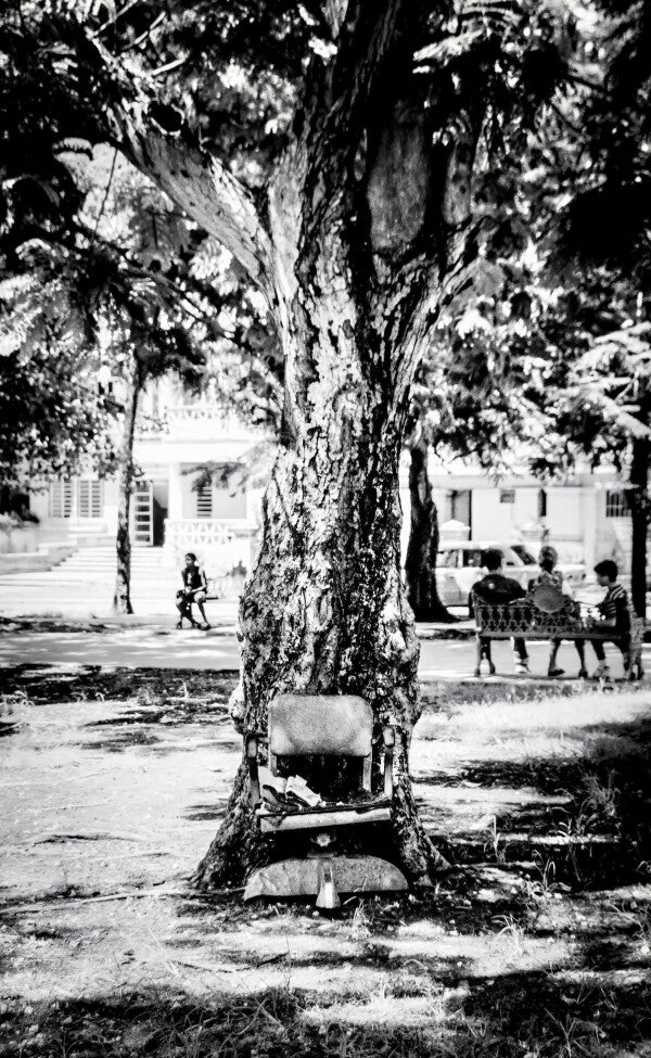 Seat in the Shade (35mm Film)