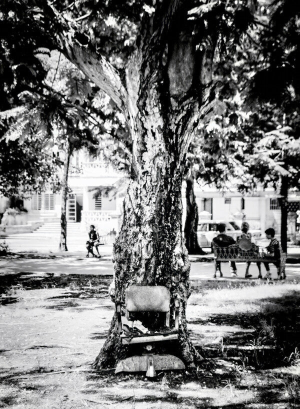 Seat in the Shade (35mm Film)