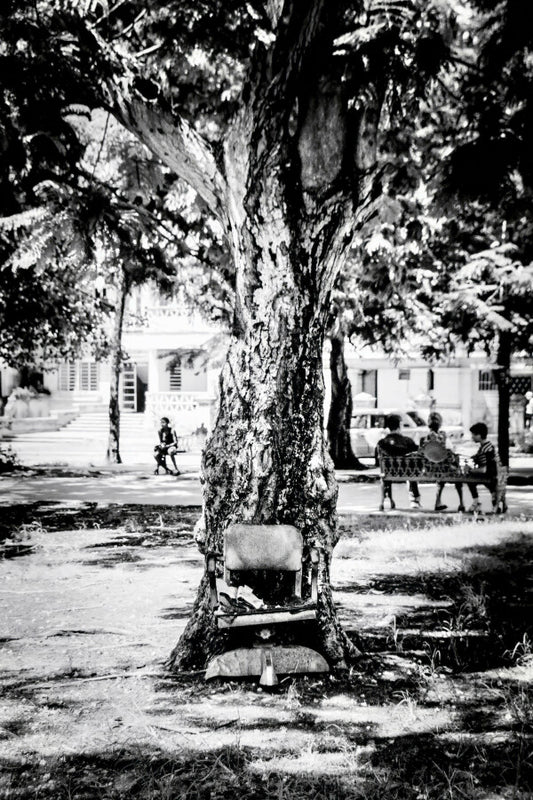 Seat in the Shade (35mm Film)