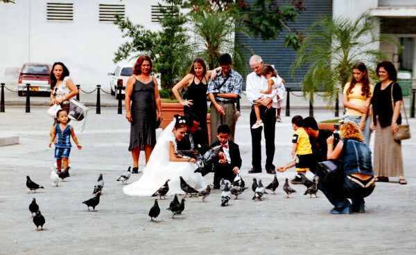 Love is for the Birds (35mm Film)