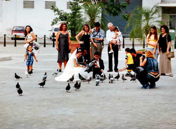 Love is for the Birds (35mm Film)