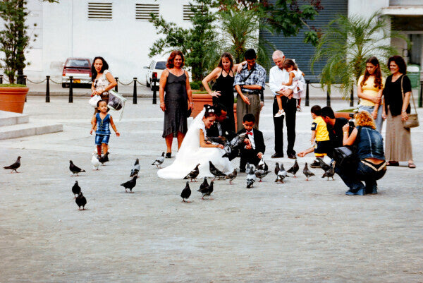 Love is for the Birds (35mm Film)